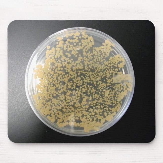 Alfombrilla De Ratón Plate de cultivo bacteriano Mousepad (Frente)