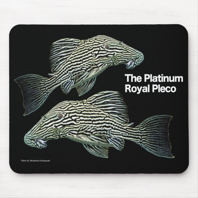 Alfombrilla De Ratón Platinum Royal Pleco (Frente)