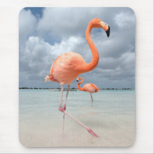Alfombrilla De Ratón Playa Aruba de los flamencos