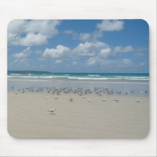 Alfombrilla De Ratón Playa con gaviotas