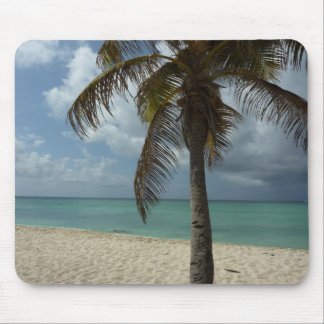 Alfombrilla De Ratón Playa de Aruba I Bella Escena Natural