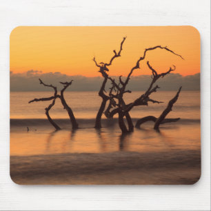 Alfombrilla De Ratón Playa Driftwood al amanecer Jekyll Island Georgia