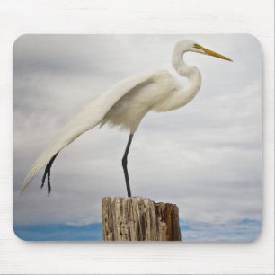Alfombrilla De Ratón Playa talentosa del Egret el fuerte Myers, la