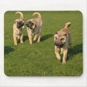 Alfombrilla De Ratón Playas de Shar Pei