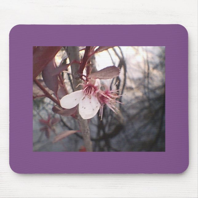 Alfombrilla De Ratón Plum Bloom (Frente)