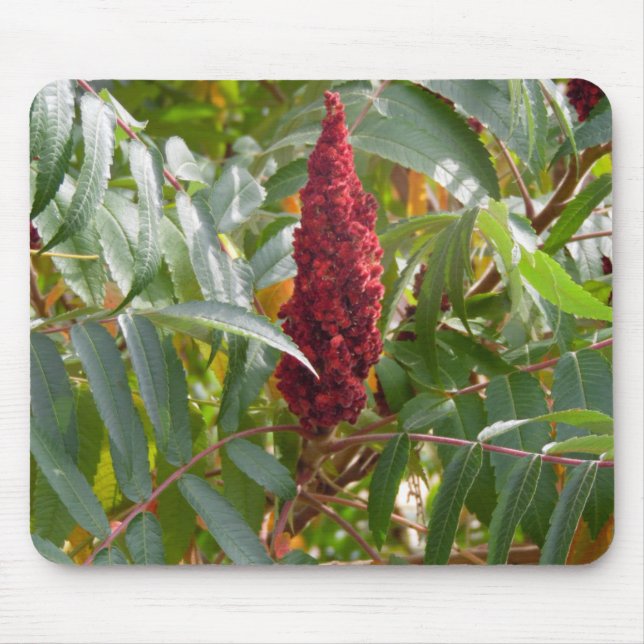 Alfombrilla De Ratón Pluma de flores (Frente)