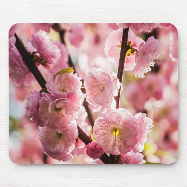 Alfombrilla De Ratón Pluma de flores - Paradismo rosa (Frente)