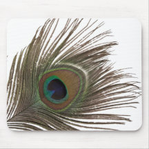 Pluma de pavo real