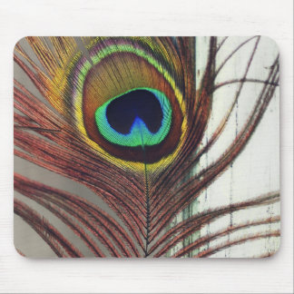 Alfombrilla De Ratón Pluma de reclinación del pavo real