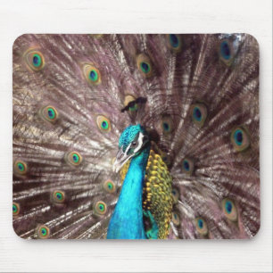 Alfombrilla De Ratón plumas de pavo real