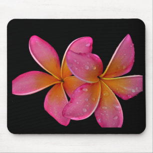 Alfombrilla De Ratón Plumeria del resplandor solar de Kaneohe