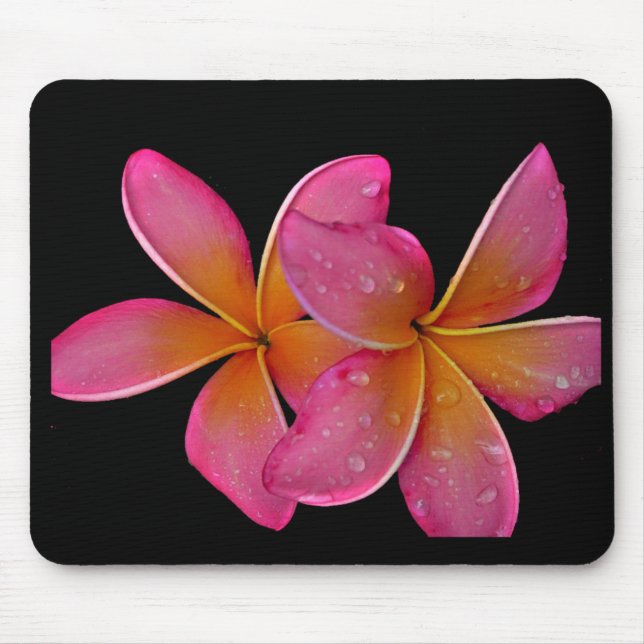 Alfombrilla De Ratón Plumeria del resplandor solar de Kaneohe (Frente)