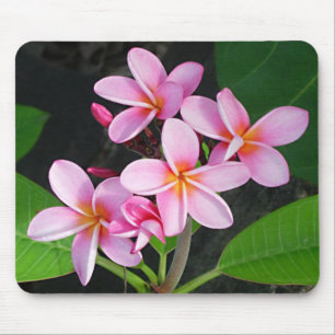 Alfombrilla De Ratón Plumeria en el club náutico del final amargo de