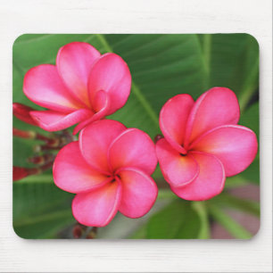 Alfombrilla De Ratón Plumeria - Miami subió en mousepad