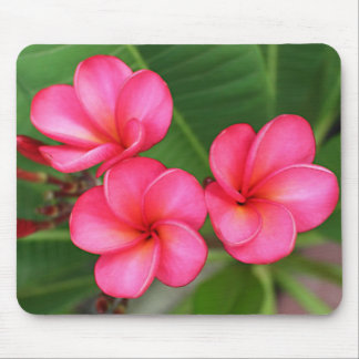 Alfombrilla De Ratón Plumeria - Miami subió en mousepad