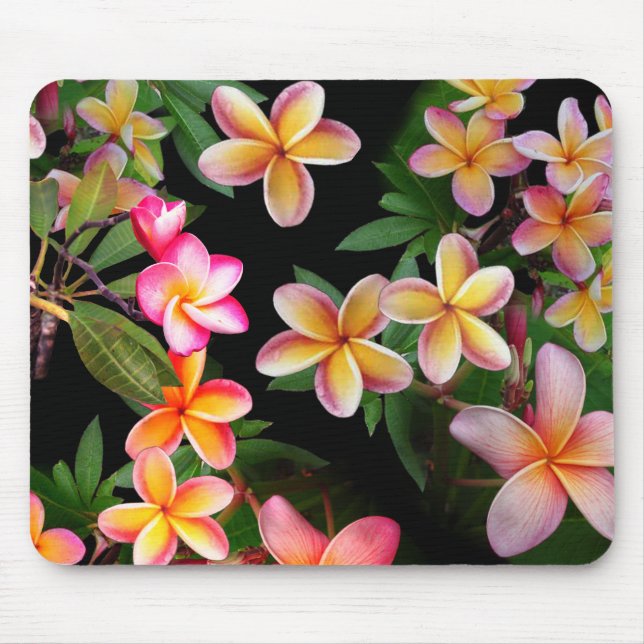 Alfombrilla De Ratón Plumeria Mouse Pad (Frente)