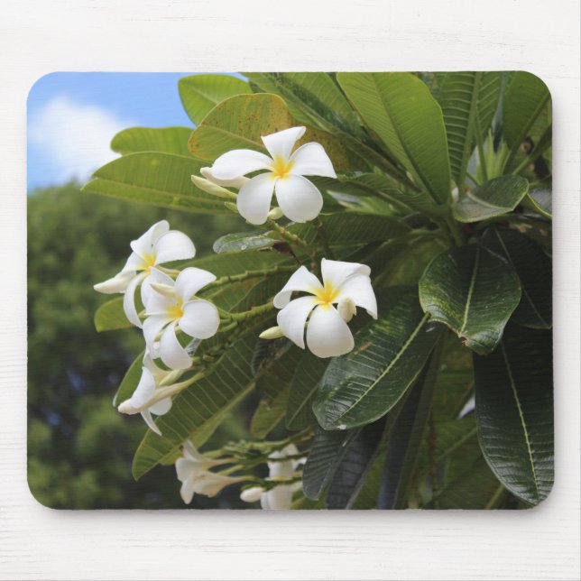 Alfombrilla De Ratón Plumeria Mousepad (Frente)