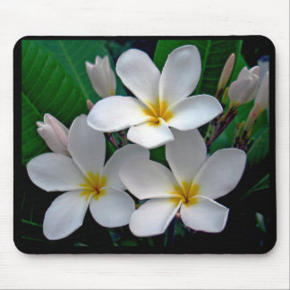 Alfombrilla De Ratón Plumeria Mousepad del claro de luna