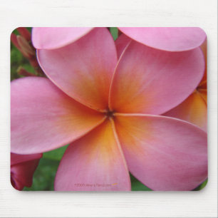 Alfombrilla De Ratón Plumeria rosado Mousepad