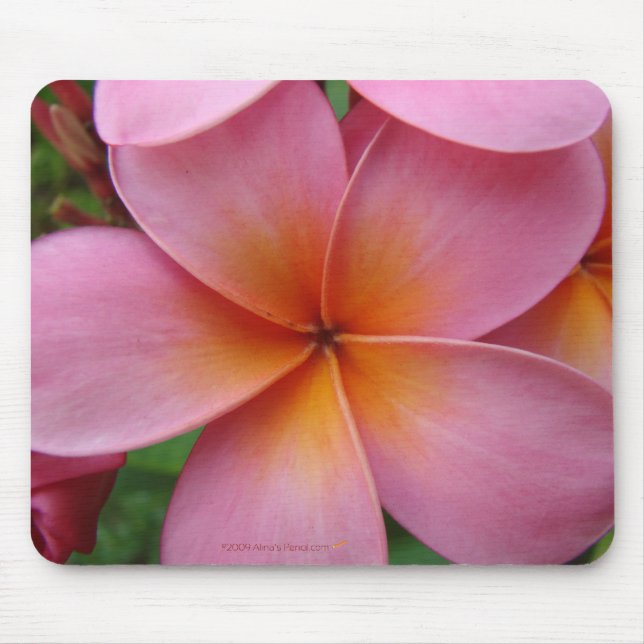 Alfombrilla De Ratón Plumeria rosado Mousepad (Frente)