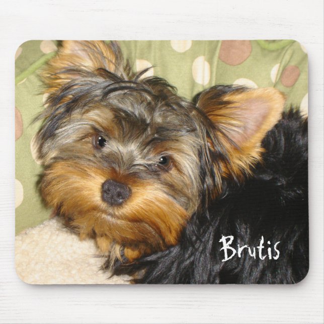 Alfombrilla De Ratón Poco cojín de ratón de Yorkie (Frente)