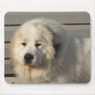 Alfombrilla De Ratón Poder de Pyr