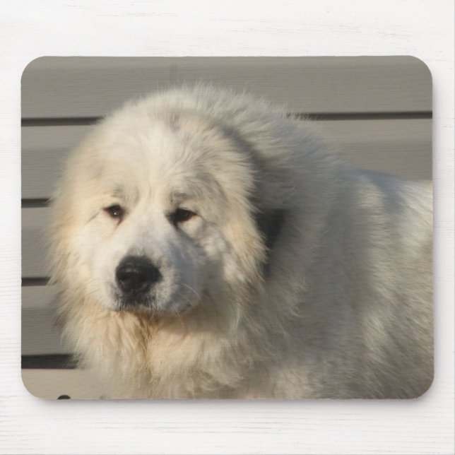 Alfombrilla De Ratón Poder de Pyr (Frente)