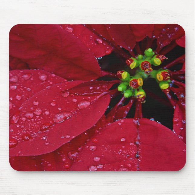Alfombrilla De Ratón Poinsettia (Frente)