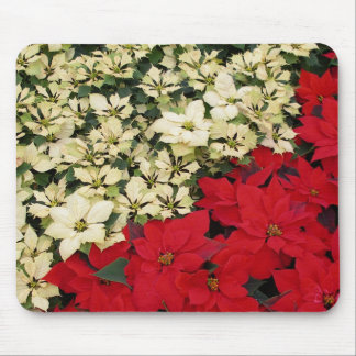 Alfombrilla De Ratón Poinsettias blancas y rojas con flores