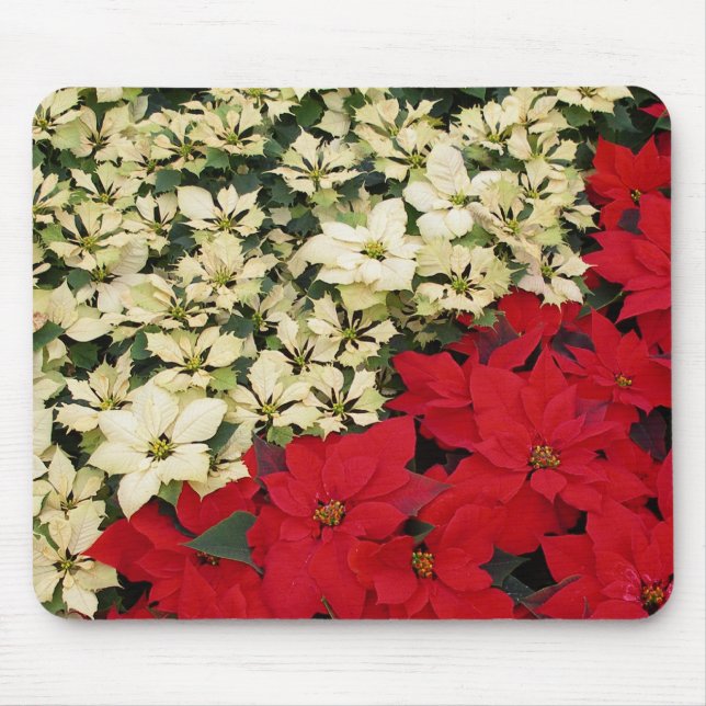 Alfombrilla De Ratón Poinsettias blancas y rojas con flores (Frente)