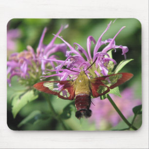 Alfombrilla De Ratón Polilla de colibrí Mousepad