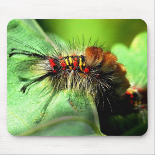 Alfombrilla De Ratón Polilla de mechón de la isla de Anacapa