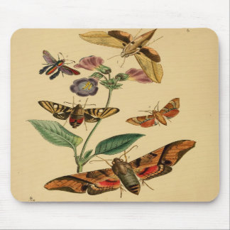 Alfombrilla De Ratón Polilla Mousepad del vintage