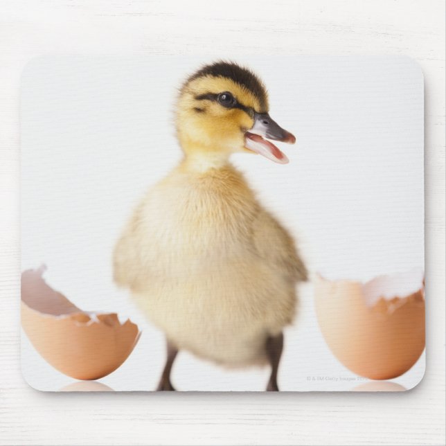 Alfombrilla De Ratón Polla recién eclosionada junto a cáscara de huevo  (Frente)