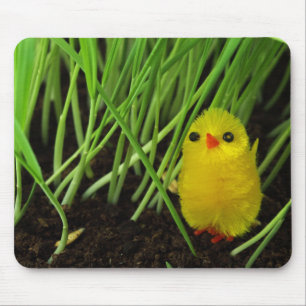 Alfombrilla De Ratón pollito de pasto