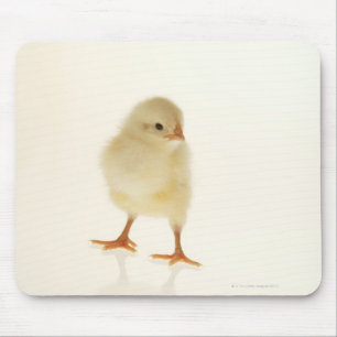 Alfombrilla De Ratón Pollo del bebé