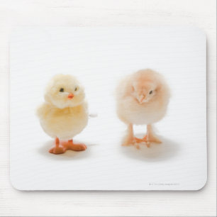 Alfombrilla De Ratón Pollo del bebé y pollo mecánico falso