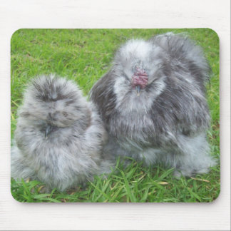 Alfombrilla De Ratón Pollo Mousepad de Silkie