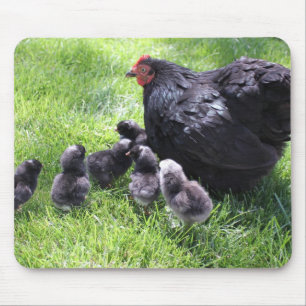 Alfombrilla De Ratón Pollo negro de Cochin con los polluelos Mousepad