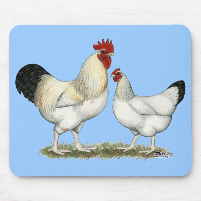Alfombrilla De Ratón Pollos del río Indio (Frente)