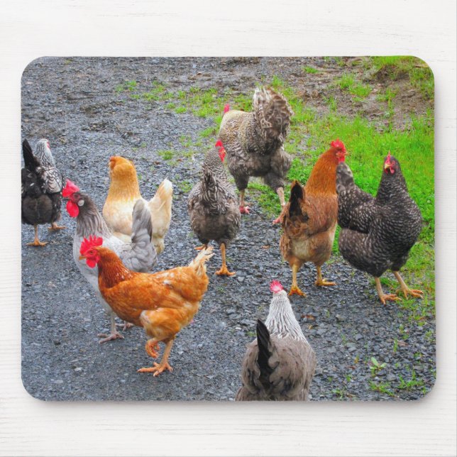 Alfombrilla De Ratón Pollos Mousepad (Frente)