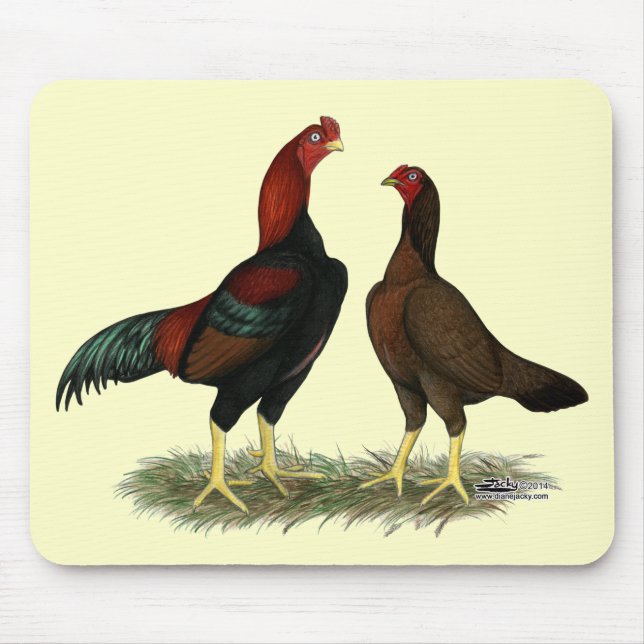 Alfombrilla De Ratón Pollos rojos negros de Aseel (Frente)