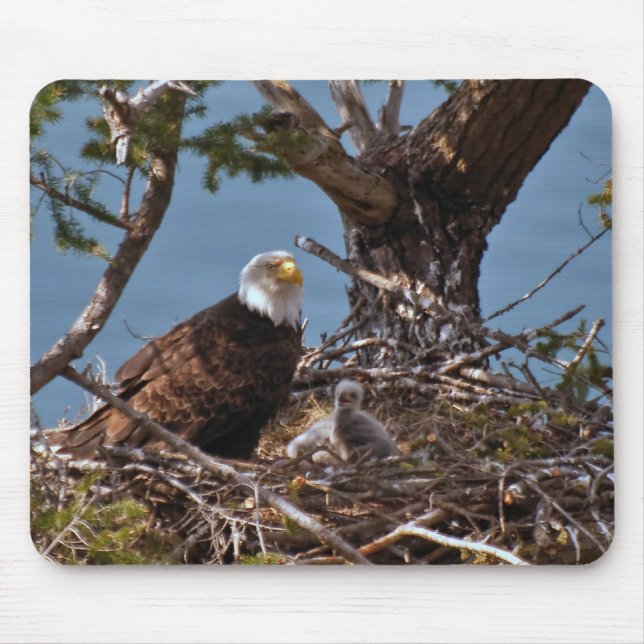 Alfombrilla De Ratón Polluelos de Eagle calvo - Mousepad (Frente)