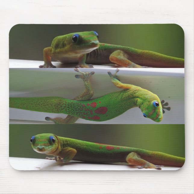 Alfombrilla De Ratón Polvo dorado Gecko (Frente)