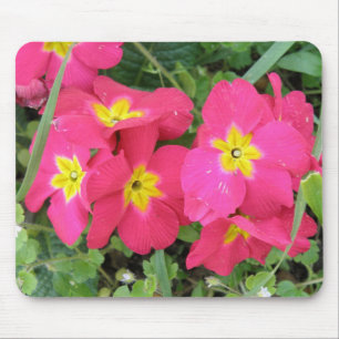 Alfombrilla De Ratón Polyanthus Mousepad