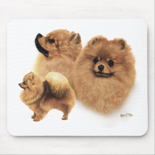 Alfombrilla De Ratón Pomeranian