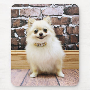 Alfombrilla De Ratón Pomeranian - cuello de la vanidad de Abby