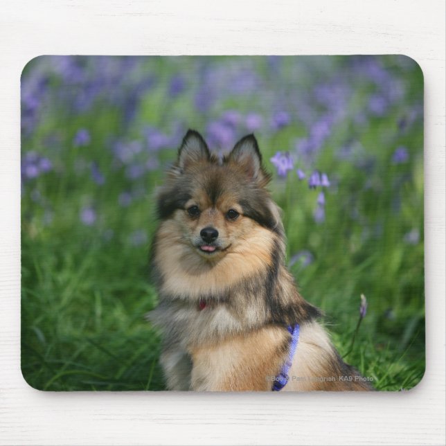 Alfombrilla De Ratón Pomeranian en la hierba (Frente)