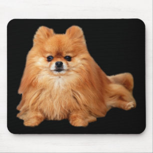 Alfombrilla De Ratón Pomeranian Mousepad