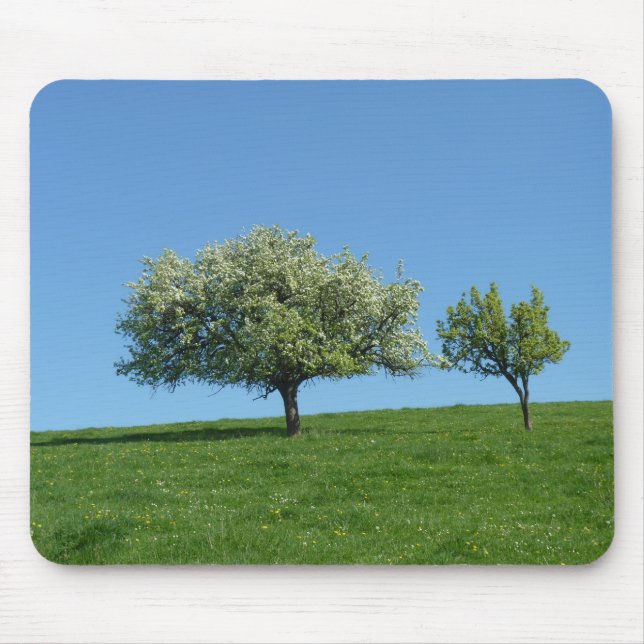 Alfombrilla De Ratón pommiantes (Frente)